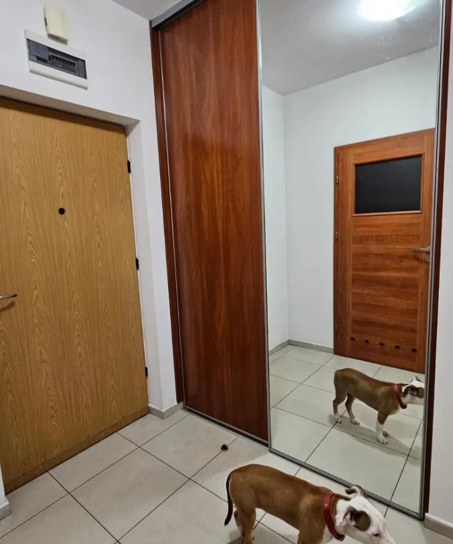 Apartment Apartament Lipinskiego Krakow